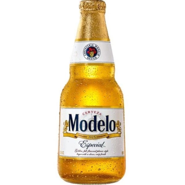 MODELO.